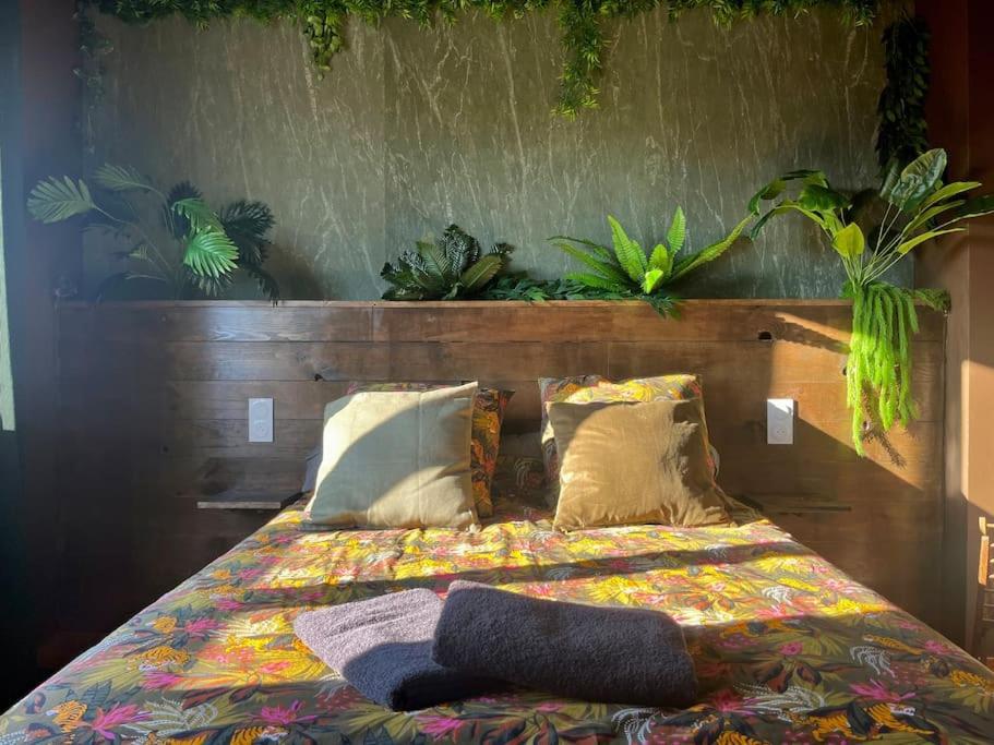 La Cabane Tropicale 뽕또흑송 외부 사진